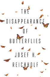 The Disappearance of Butterflies