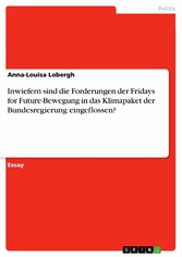 Inwiefern sind die Forderungen der Fridays for Future-Bewegung in das Klimapaket der Bundesregierung eingeflossen?