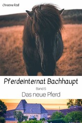 Das neue Pferd