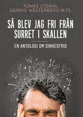 Så blev jag fri från surret i skallen