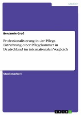 Professionalisierung in der Pflege. Einrichtung einer Pflegekammer in Deutschland im internationalen Vergleich