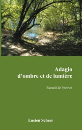 Adagio d&apos;ombre et de lumière