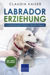 Labrador Erziehung