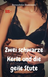 Zwei schwarze Kerle und die geile Stute