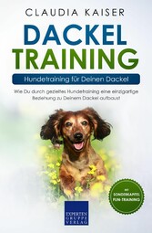 Dackel Training - Hundetraining für Deinen Dackel