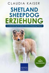 Shetland Sheepdog Erziehung