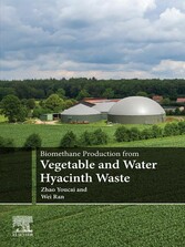 Biomethane Production from Vegetable and Water Hyacinth Waste