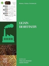 Biomass, Biofuels, Biochemicals