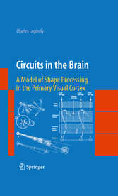 Circuits in the Brain