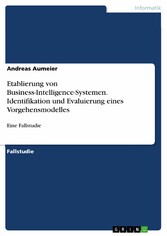 Etablierung von Business-Intelligence-Systemen. Identifikation und Evaluierung eines Vorgehensmodelles