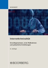 Internetkriminalität