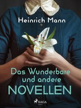 Das Wunderbare und andere Novellen