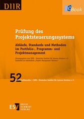 Prüfung des Projektsteuerungssystems