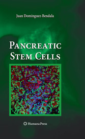 Pancreatic Stem Cells