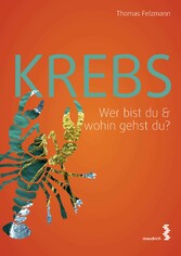 Krebs