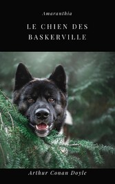 Le Chien des Baskerville