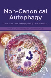 Non-Canonical Autophagy