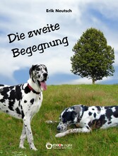 Die zweite Begegnung