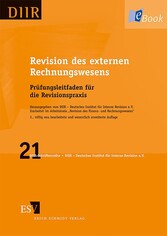 Revision des externen Rechnungswesens