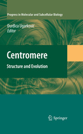 Centromere