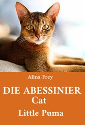 Die Abessinier Cat Little Puma