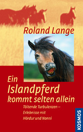 Ein Islandpferd kommt selten allein