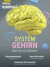 Spektrum Kompakt - System Gehirn