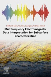 Multifrequency Electromagnetic Data Interpretation for Subsurface Characterization