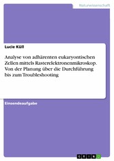 Analyse von adhärenten eukaryontischen Zellen mittels Rasterelektronenmikroskop. Von der Planung über die Durchführung bis zum Troubleshooting