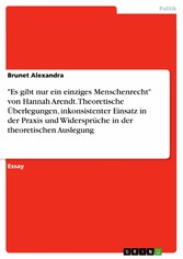 'Es gibt nur ein einziges Menschenrecht' von Hannah Arendt. Theoretische Überlegungen, inkonsistenter Einsatz in der Praxis und Widersprüche in der theoretischen Auslegung