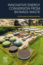 Innovative Energy Conversion from Biomass Waste