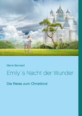 Emily`s Nacht der Wunder