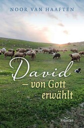 David - von Gott erwählt