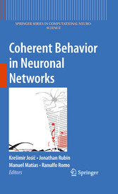 Coherent Behavior in Neuronal Networks