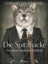 Die Spitzhacke - Ein phantastisches Erlebnis