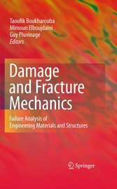 Damage and Fracture Mechanics