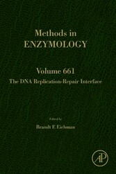 The DNA Replication-Repair Interface