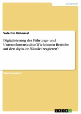 Digitalisierung der Führungs- und Unternehmenskultur. Wie können Betriebe auf den digitalen Wandel reagieren?