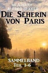 Sammelband Die Seherin von Paris Teil 1-6