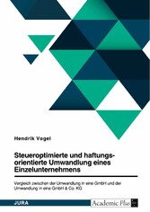 Steueroptimierte und haftungsorientierte Umwandlung eines Einzelunternehmens. Vergleich zwischen der Umwandlung in eine GmbH und der Umwandlung in eine GmbH & Co. KG