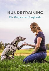 Hundetraining für Welpen und Junghunde