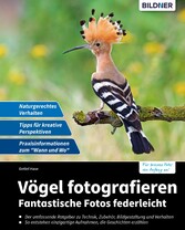 Vögel fotografieren