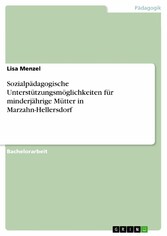 Sozialpädagogische Unterstützungsmöglichkeiten für minderjährige Mütter in Marzahn-Hellersdorf