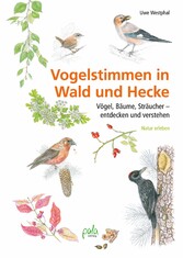 Vogelstimmen in Wald und Hecke