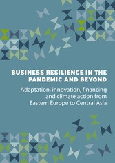 Business Resilience in the Pandemic and Beyond