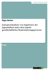 Inanspruchnahme von Angeboten der Jugendarbeit unter dem Aspekt gesellschaftlicher Modernisierungsprozesse