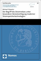 Der Begriff des Stromnetzes unter besonderer Berücksichtigung moderner Stromspeichertechnologien