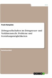 Zebragesellschaften im Ertragsteuer- und Verfahrensrecht. Probleme und Gestaltungsmöglichkeiten