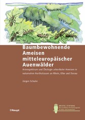 Baumbewohnende Ameisen mitteleuropäischer Auenwälder