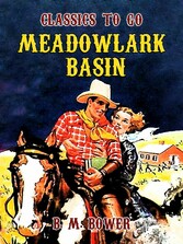 Meadowlark Basin